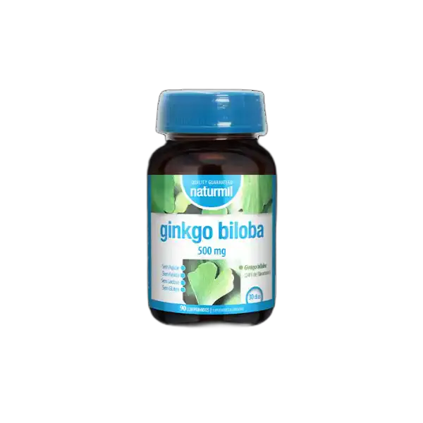 GINKGO BILOBA 500mg