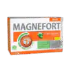 MAGNEFORT RAPID